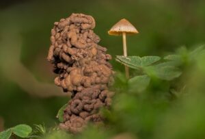 ウォームアップ5分で膝を守るための効果的な方法は？