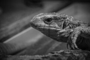 クールダウンをしないと膝痛が悪化する理由とは？