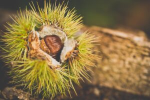 走った後に膝の前が痛い原因は何ですか？