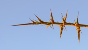 階段を下りると膝痛が起こる原因は何ですか？